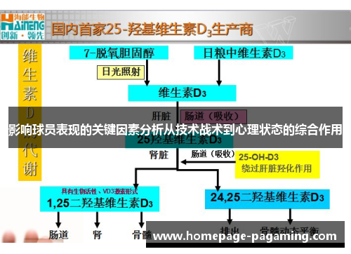 影响球员表现的关键因素分析从技术战术到心理状态的综合作用