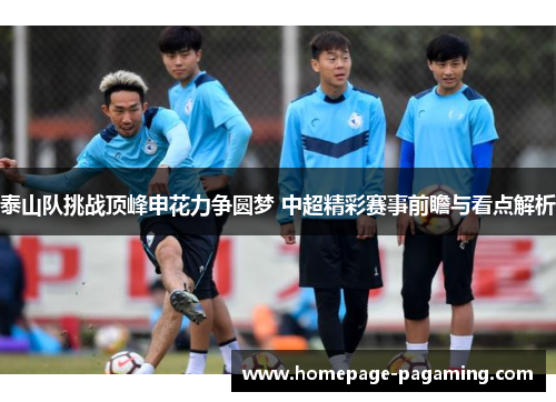 泰山队挑战顶峰申花力争圆梦 中超精彩赛事前瞻与看点解析
