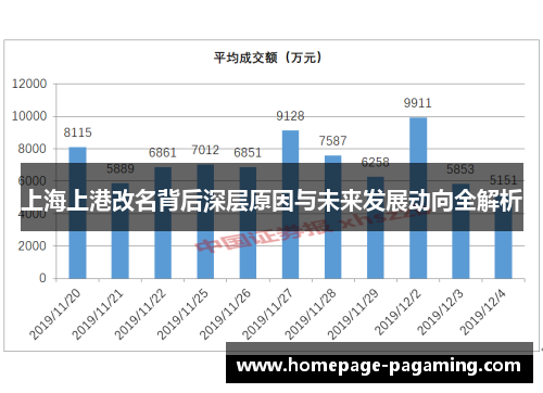 上海上港改名背后深层原因与未来发展动向全解析