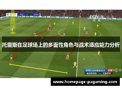托雷斯在足球场上的多面性角色与战术适应能力分析