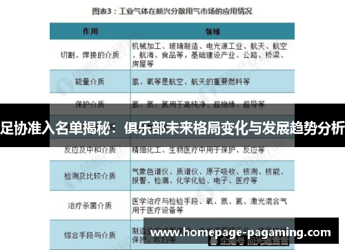 足协准入名单揭秘：俱乐部未来格局变化与发展趋势分析