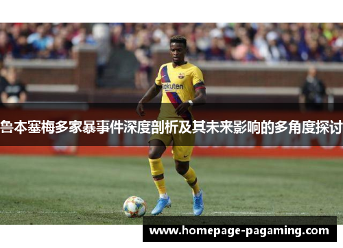 鲁本塞梅多家暴事件深度剖析及其未来影响的多角度探讨