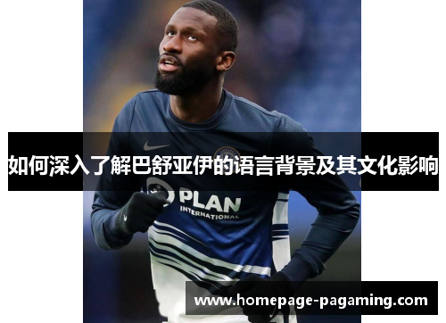 如何深入了解巴舒亚伊的语言背景及其文化影响