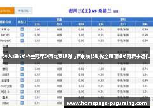 深入解析英格兰冠军联赛比赛规则与赛制细节助你全面理解英冠赛事运作