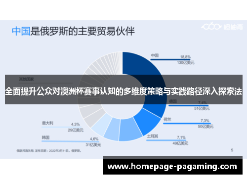 全面提升公众对澳洲杯赛事认知的多维度策略与实践路径深入探索法 全面提升公众对澳洲杯赛事认知的多维度策略与实践路径深入探索法