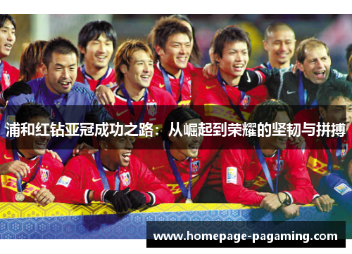 浦和红钻亚冠成功之路：从崛起到荣耀的坚韧与拼搏