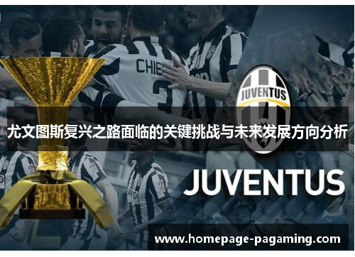 尤文图斯复兴之路面临的关键挑战与未来发展方向分析