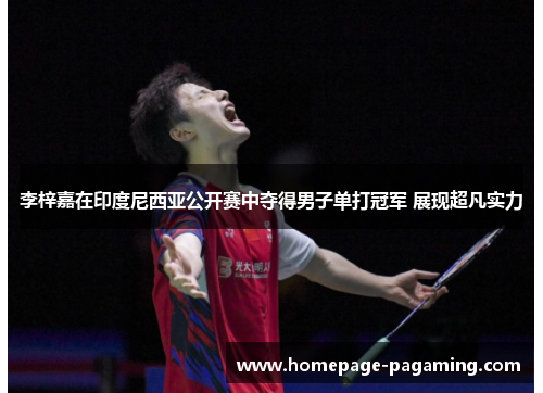 李梓嘉在印度尼西亚公开赛中夺得男子单打冠军 展现超凡实力