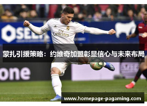 蒙扎引援策略:约维奇加盟彰显信心与未来布局 蒙扎引援策略:约维奇加盟彰显信心与未来布局