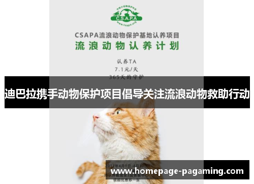 迪巴拉携手动物保护项目倡导关注流浪动物救助行动