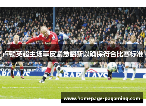 卢顿英超主场草皮紧急翻新以确保符合比赛标准